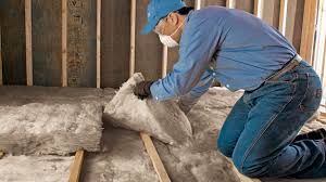 Best Eco-Friendly Insulation Solutions  in Portage, IN